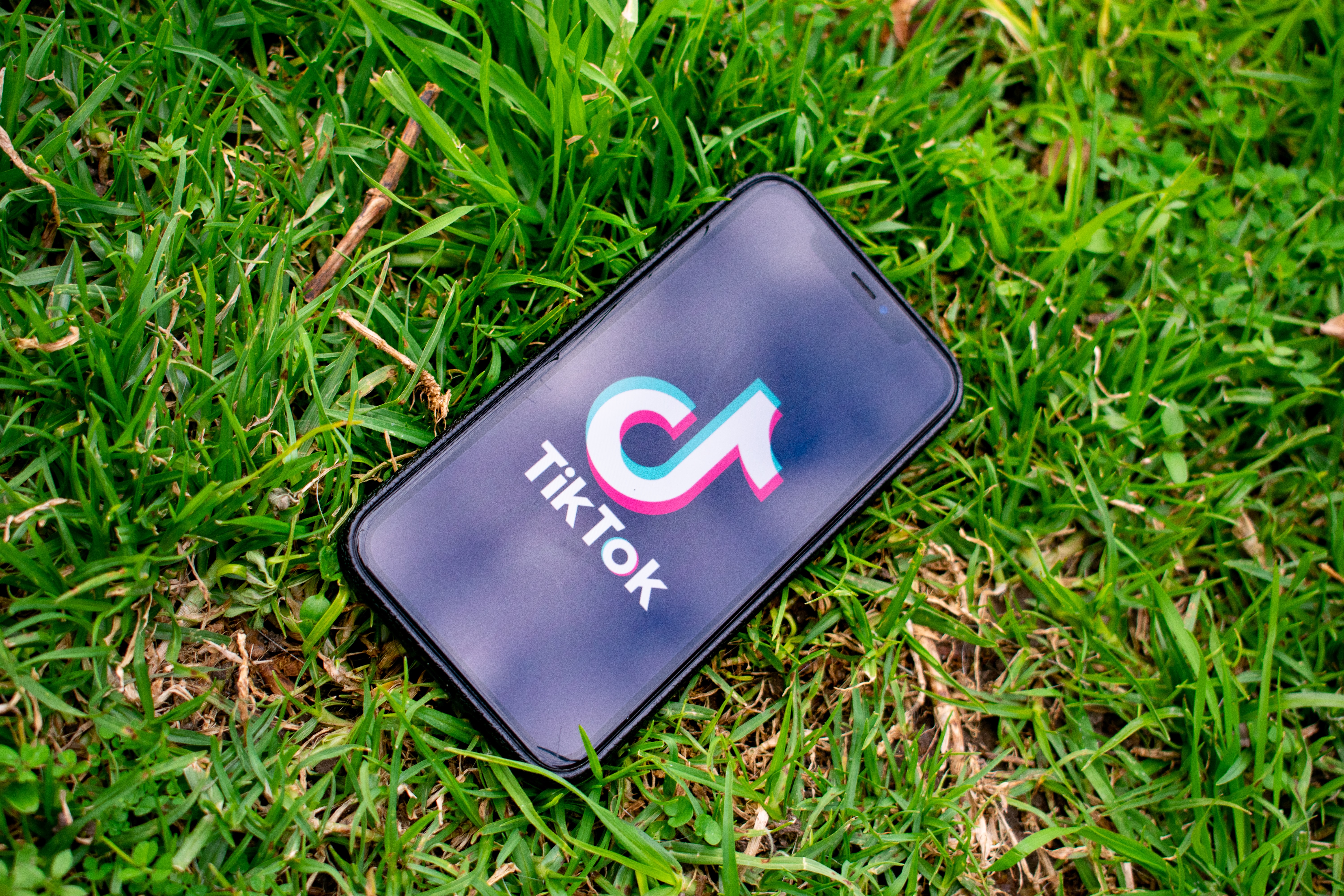TikTok and Democracy? The Implications of the US’ Proposed TikTok Ban