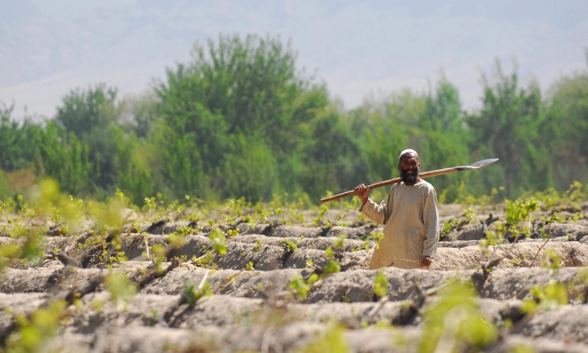 Afghanistan: Where the Climate Crisis and Gender Inequality Intersect