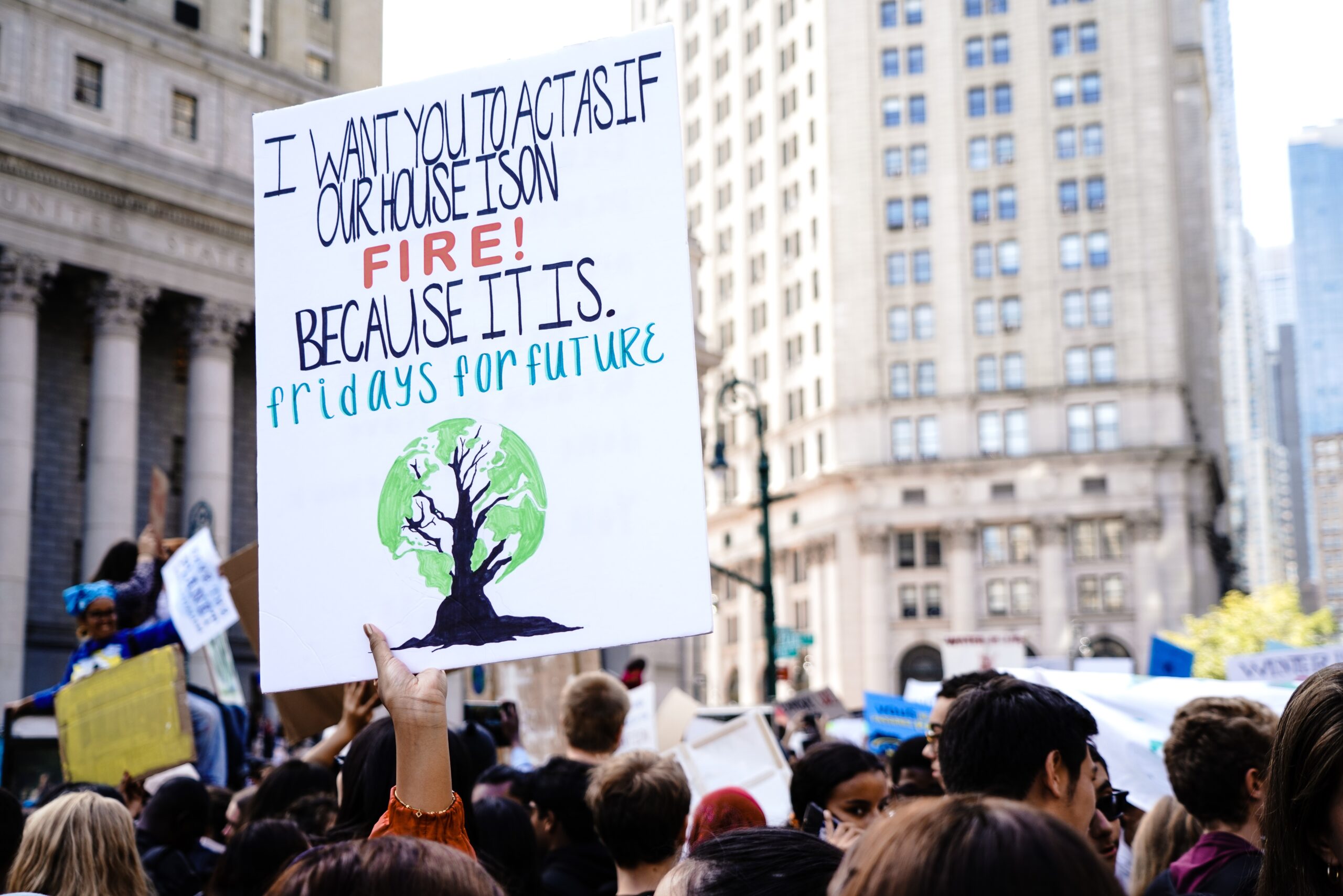 Is there monetary value for climate activism?
