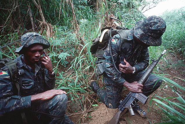 Jungle War: The Guyanese Defense Strategy to Stop Venezuela