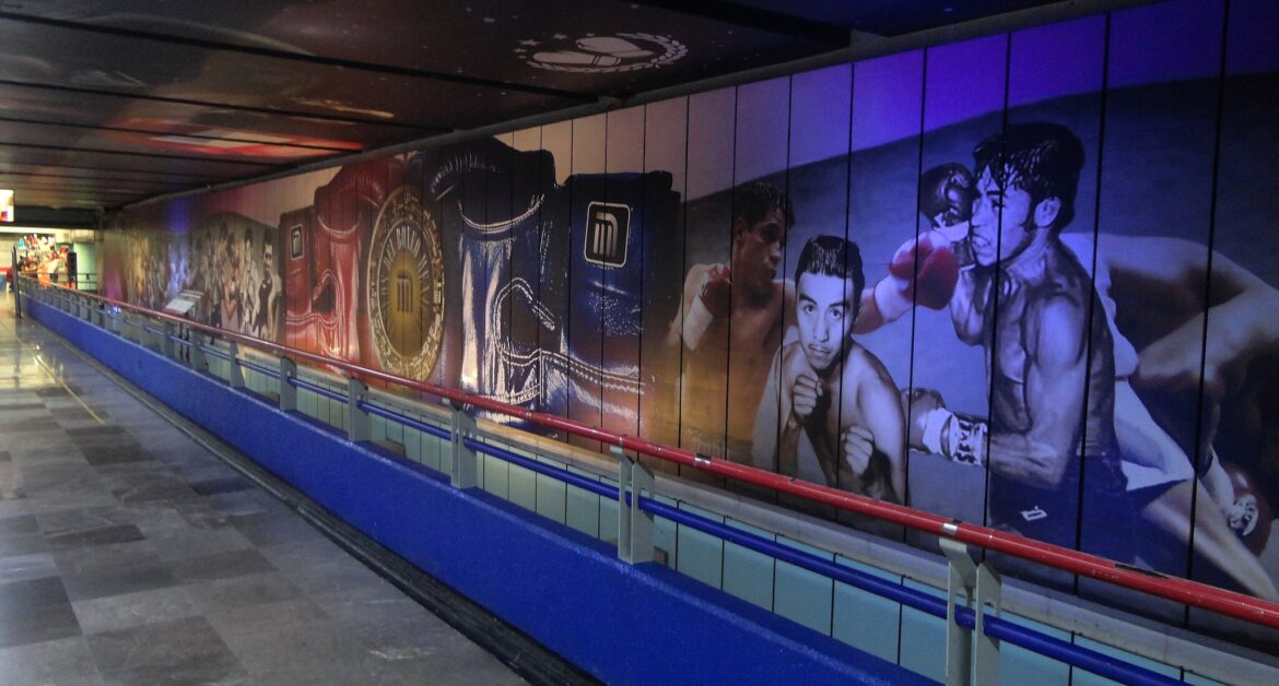 Boxing and Band-Aids: The Fight Against Poverty and Organized Crime in Mexico