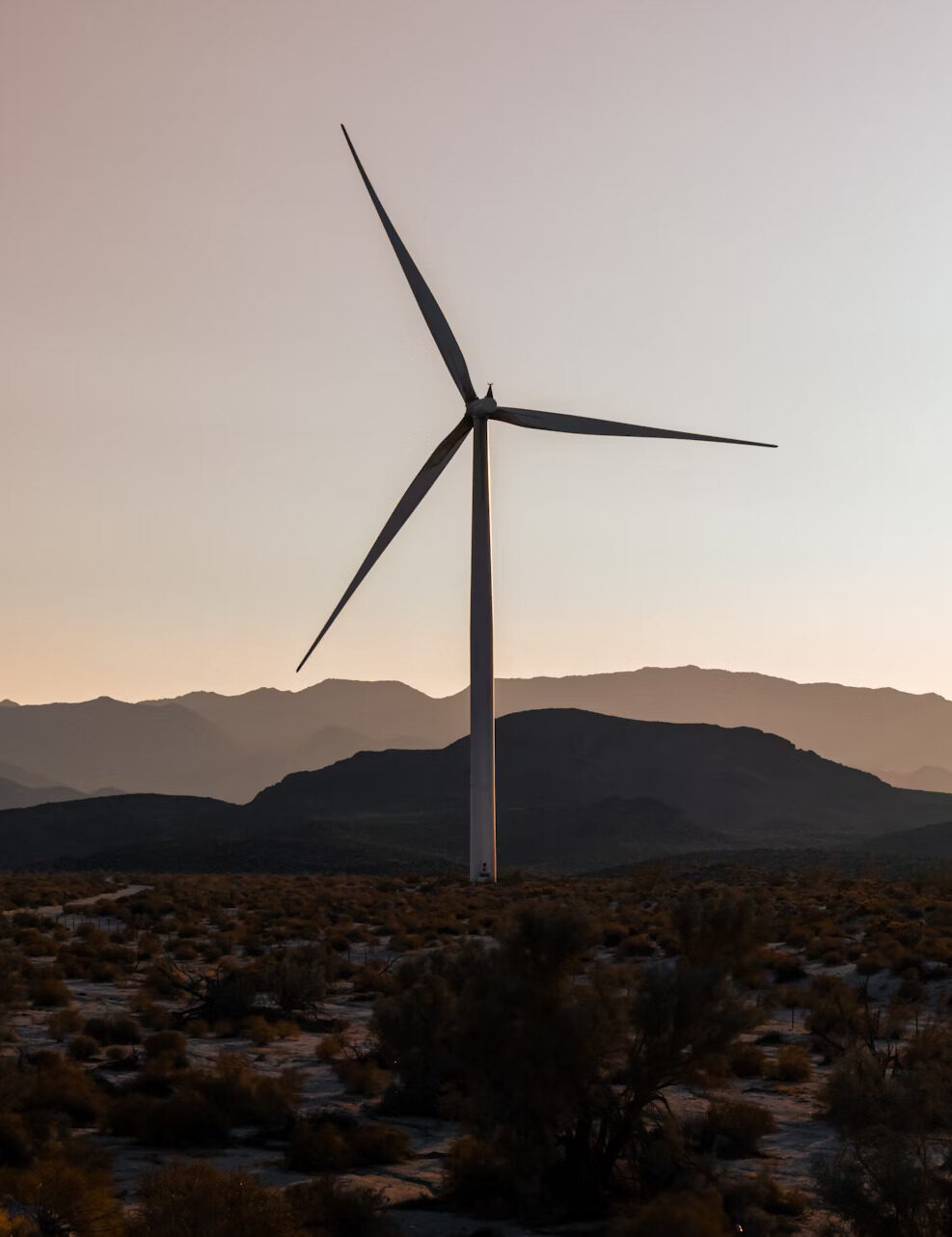 Trump’s Tariffs and the Clean Energy Backlash