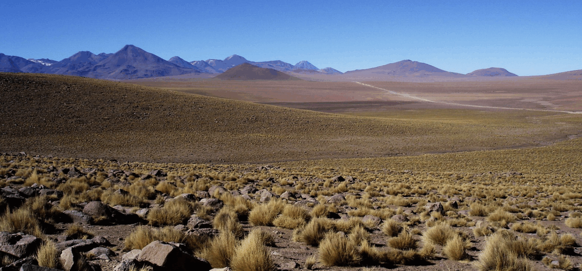 South America’s Lithium Triangle Reshapes Global Trade Through Resource Nationalism