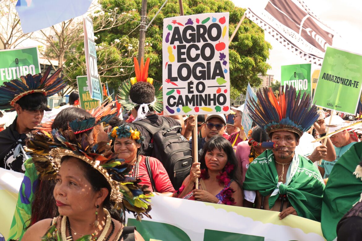 Epistemic Injustice on the International Stage: Indigenous Marginalization at COP30 and Beyond