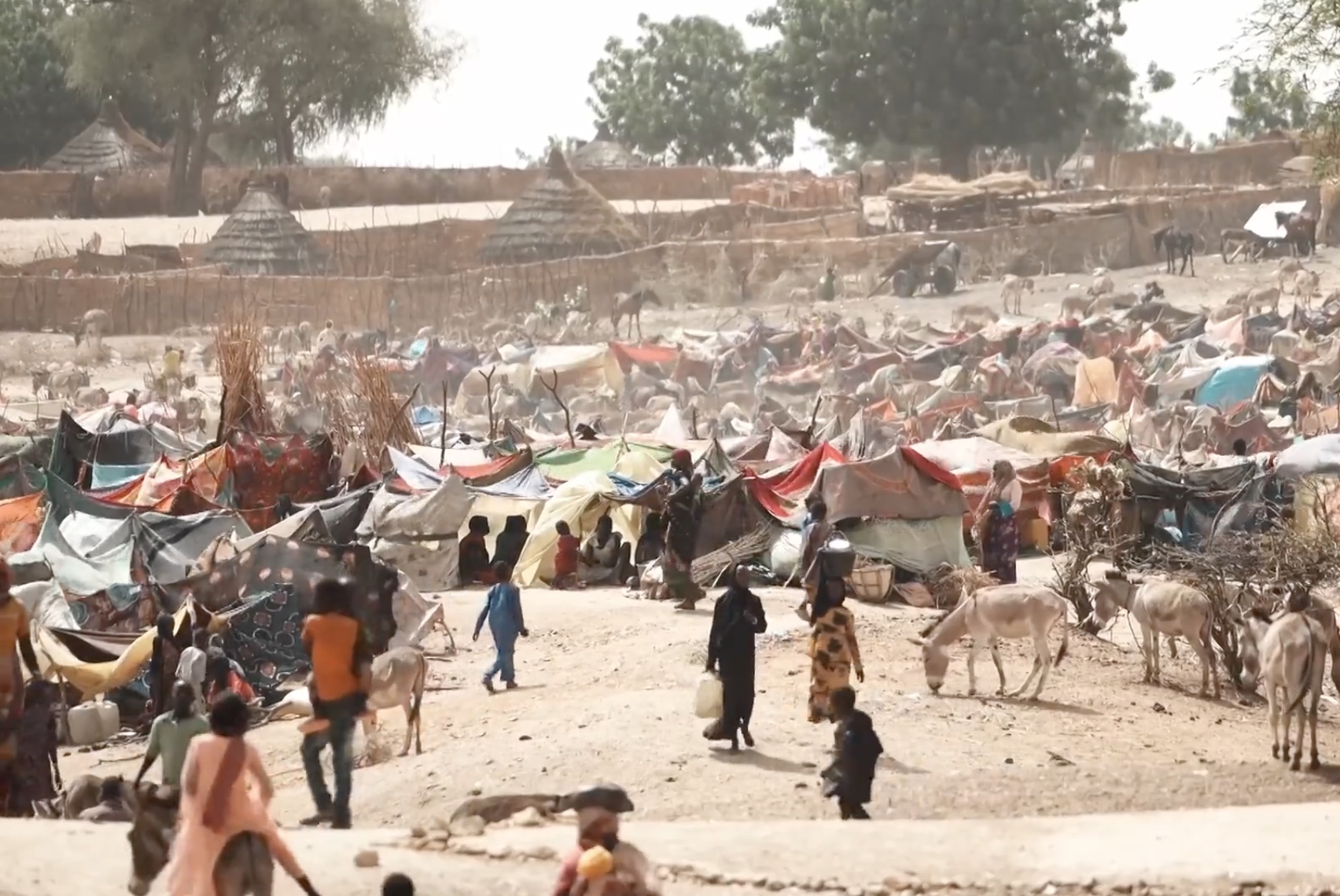 Trump Cuts USAID: The Reality for Sudanese Refugees Worsens - Catalyst
