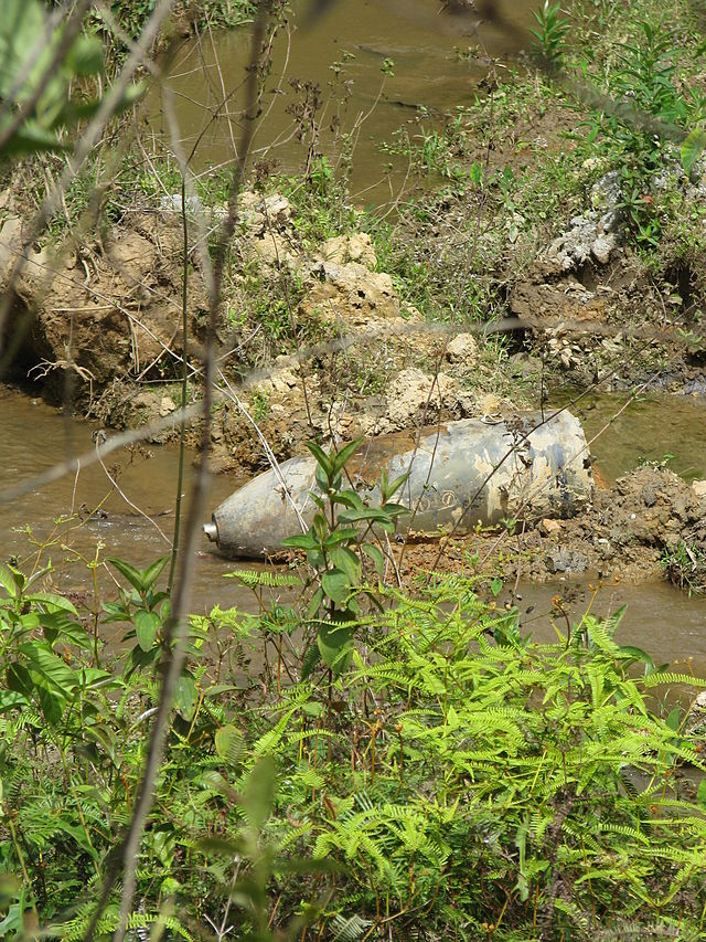 The Lasting Consequences of UXOs on Development