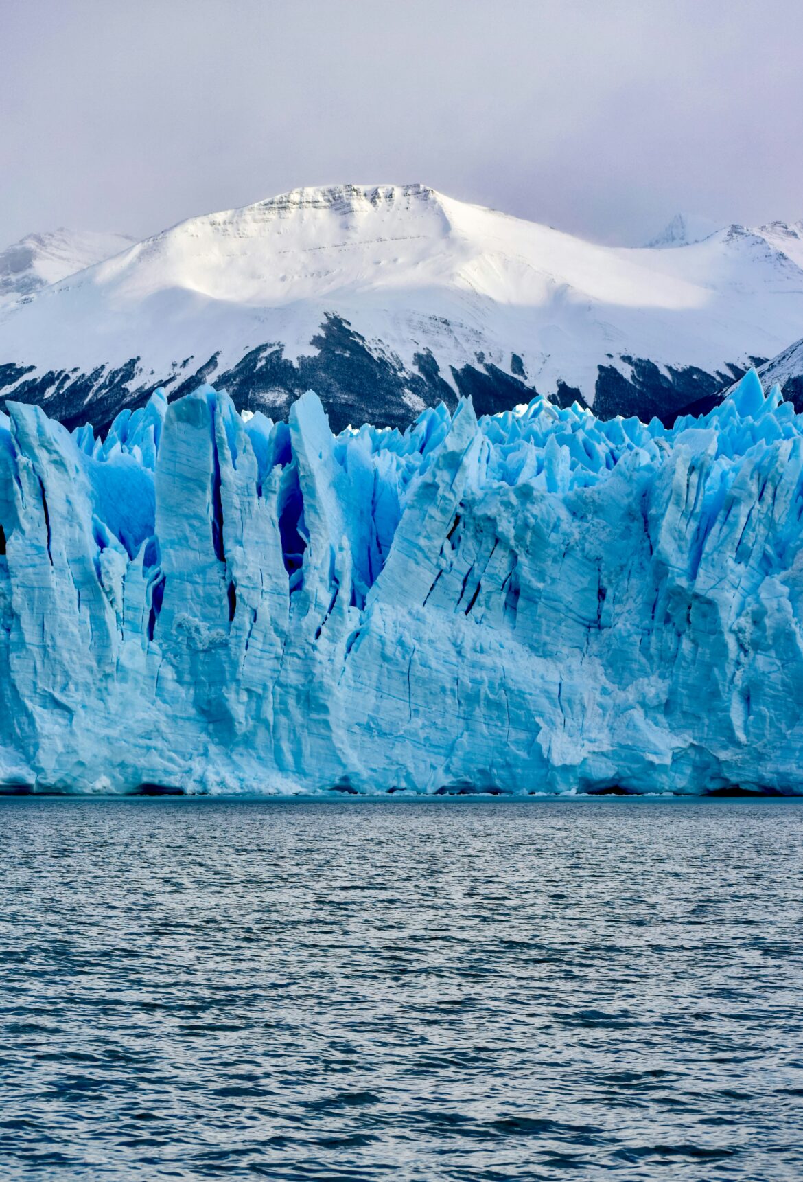 Milei’s Glacier Law Reform: Melting Morals or Unfreezing Investment?